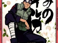 火影忍者,伊鲁卡