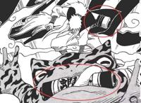 《火影忍者》中自来也背后那个卷轴