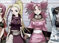 火影忍者里各国的资料 