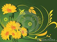 漩涡向日葵的人际关系 