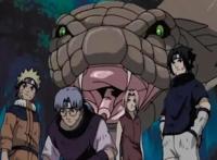 如何快速补番《火影忍者》？