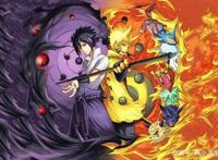 火影忍者，鸣人和佐助忍术大全