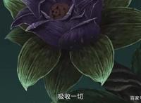 小说推荐——火影