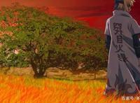 动漫《火影忍者》，波风水门，火影忍者中非常受欢迎的角色之一