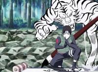 火影忍者又名孤儿忍者，孤儿使人强大！