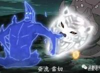 火影忍者：给大家普及一个小常识，别再这么无知了