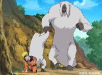 《火影忍者》原来纲手也有过孩子，不过似乎不老实