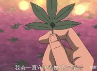 自来也为了纲手曾经拒绝了一位强大而美丽的女忍者