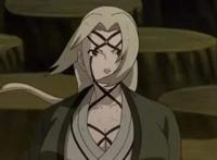 火影四宝：纲手的身材，大蛇丸的长生术，佐鸣的羁绊……