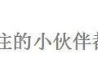 火影中怪力忍者排名，纲手上榜，小樱位居第五！