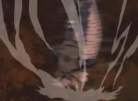 火影：你没在意的忍术，纲手会多重影分身，卡卡西偷学“表莲华”