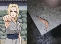 火影忍者：纲手的通灵兽突袭家里，熊孩子这么处理纲手会很生气