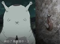 火影忍者：纲手的通灵兽突袭家里，熊孩子这么处理纲手会很生气