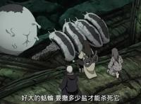 火影忍者：纲手的通灵兽突袭家里，熊孩子这么处理纲手会很生气