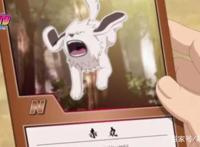 博人传：鸣人SSR级卡牌遭疯抢，看到赤丸的等级却笑出了声