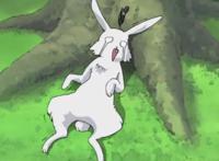 火影忍者第七集：雾之暗杀者