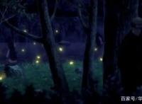 火影，雏田真是一位值得可怜的女人！