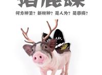 火影忍者：这个组合分明是满天星，他们“无敌”于世间