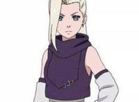 木叶十二小强之一，精神力极强的山中井野，是一个感知型忍者！