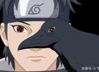 火影忍者：宇智波止水真的死了吗？