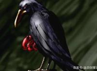 火影忍者中为他人而活的宇智波鼬：独自背负一切却最终失去了所有