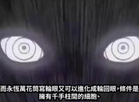 《火影忍者》开了轮回眼的鼬，实力会不会比斑强？