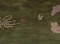 火影忍者：晓被称为人柱力克星，倘若全员出动，双方谁才是赢家？