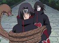 大蛇丸拥有过写轮眼，要佐助身体的原因只为“苟活于世”