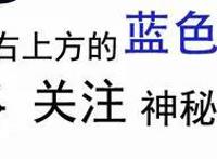火影忍者博人传：各忍者之间，亲子关系大盘点