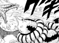 火影忍者：关于小樱的几点重要设定，争议很大，却也无可厚非