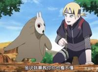 火影博人传81集：辛牙吃博人只为就他，新生的芥成为博人的伙伴！