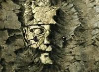 火影忍者川木身份大猜想：可能是博人的好基友