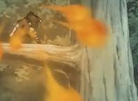 博人传：佐良娜火了，新版火遁比鼬更强，超越宇智波斑的存在