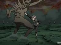 火影忍者：宇智波佐良娜比怪力输给蝶蝶，纲手要后继无人？