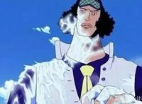 《海贼王》其实罗宾的恶魔果实，可以秒杀除自然系之外的任何人