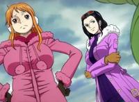 海贼王：两年后的罗宾实力太弱，后续要开发能力，不然太浪费