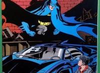 蝙蝠侠与他的罗宾