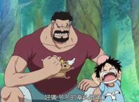 海贼王中几个将级异类，他们将改变海军的面貌