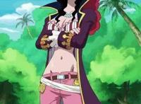 《海贼王》假如她们受伤不能动弹了，你是选择亿万赏金，还是她们