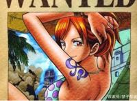 海贼王：非能力者中的颜值担当。