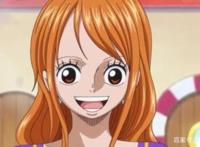 海贼王：非能力者中的颜值担当。