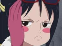 海贼王：非能力者中的颜值担当。