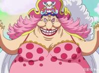 这些女人不仅仅在海贼世界能打，把她们放到现实世界也是香饽饽