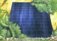 海贼王新世界草帽海贼团得到了五样宝贝，最后一样值五亿。