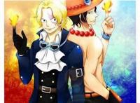 海贼王：看图识果实，这十六个恶魔果实你都认识吗？