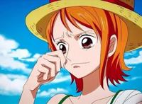 动漫向：热泪盈眶！草帽团相识的回忆杀——《海贼王》