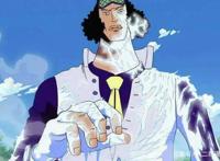 冰系能力者千千万，我只服《海贼王》库赞