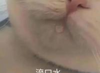 他是首位拥有Z世代时尚明星所有必须气质的人？