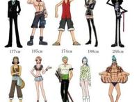 海贼王里大家的身高排行，自从看了海贼，楼都不觉得高了