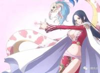 《海贼王》女主候选人，你喜欢她吗？